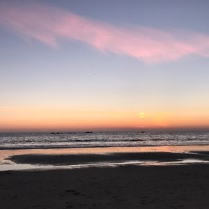 Meet your Posher, Sophia